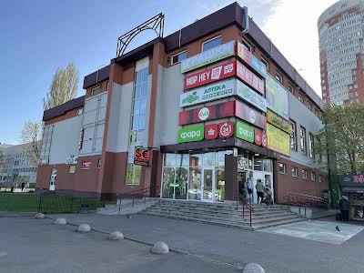 комерційна за адресою Чорних Запорожців вул. (Петра Запорожця), 28