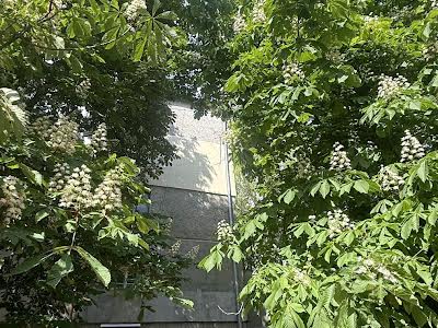 квартира по адресу Ицхака Рабина ул., 15