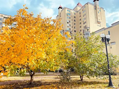 квартира по адресу Макеевская ул., 10А