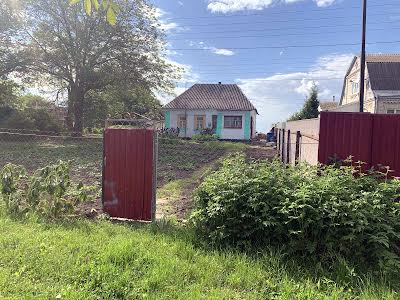 дом по адресу с. Беспятное, Васильківська