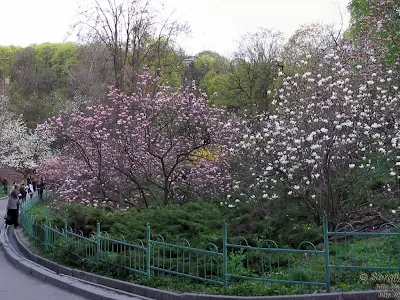 квартира за адресою Тарасівська вул., 3