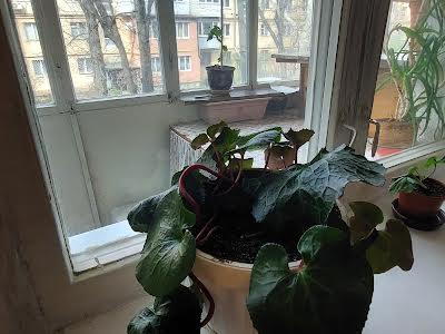 квартира за адресою Івана та Юрія Лип вул. (Гайдара), 70