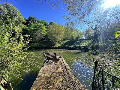 будинок за адресою с. Великі Дмитровичі, Польова, 100