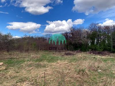 участок по адресу с. Крылос, ур.Сіножить