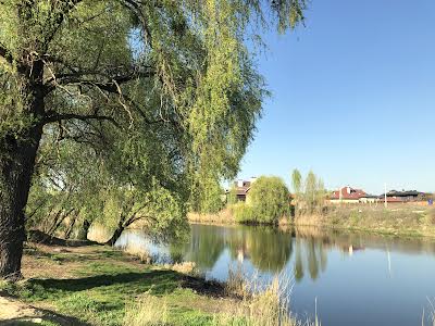 будинок за адресою с. Софіївська борщагівка, бер