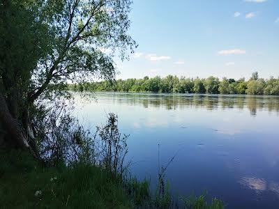 дом по адресу Визволителів ул. (Партизанська)
