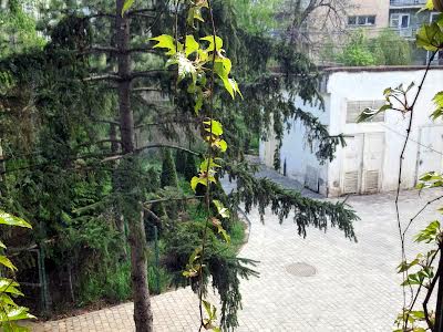 дом по адресу Бернардацци ул. (Красных Зорь), 12а