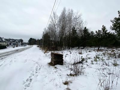 участок по адресу с. Борки, 