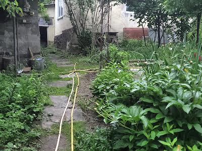 будинок за адресою Федьковича пров.