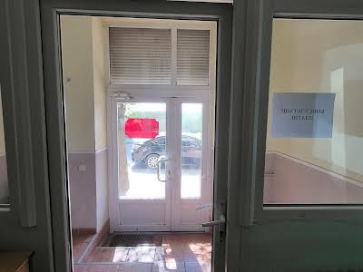 комерційна за адресою Володимира Великого вул., 5