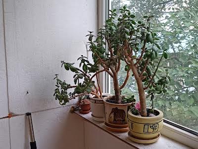 квартира за адресою Квартальна вулиц вул. (Гладкова), 23
