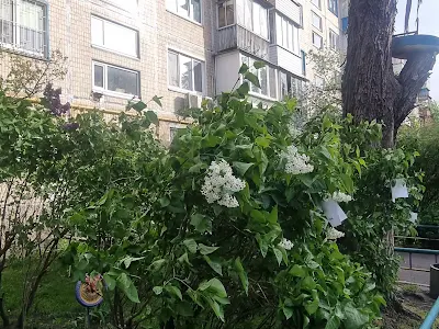 квартира за адресою Мілютенка вул., 12