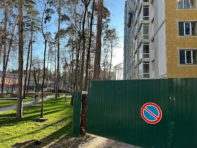 комерційна за адресою Соборна вул., 2