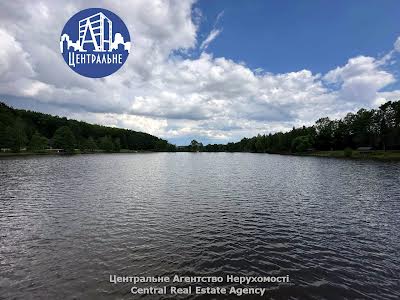 коммерческая по адресу пгт. Берегомет, Вижницька, 1