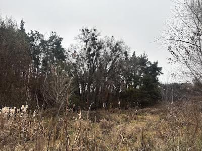 ділянка за адресою Підлісна
