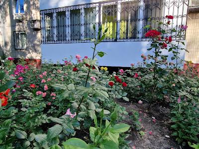 квартира по адресу Энтузиастов ул., 41