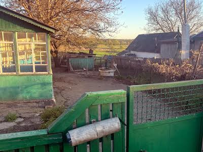 дом по адресу с. Васильков, Васильківська, 27