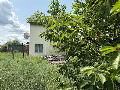 дом по адресу с. Старые Безрадичи, горохова, 1