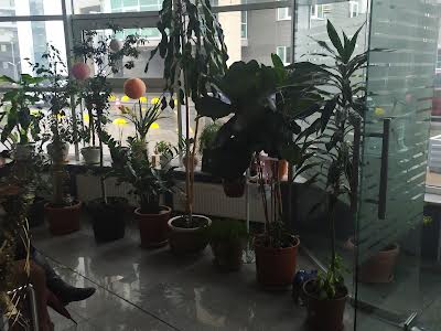 квартира за адресою Звіринецька вул., 59
