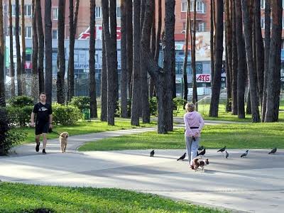 квартира по адресу Университетская ул., 3/9