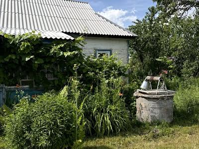 дом по адресу Дружбы ул. (Леніна), 23