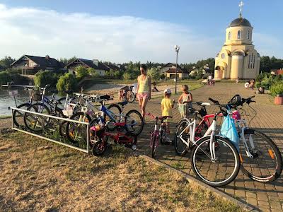 будинок за адресою с. Северинівка, Вишневецкого Дмитра