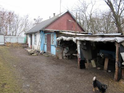 дом по адресу с. Бендюговка, Вишневая, 38