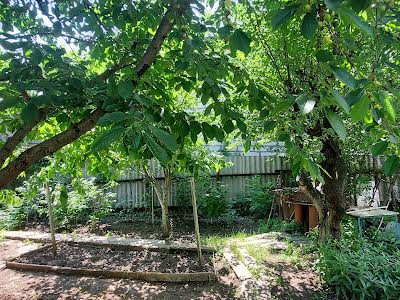 будинок за адресою Астрономічна вул., 9