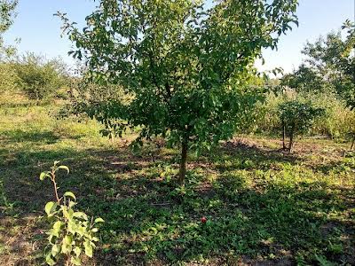 дом по адресу Дергачи, Золочівський шлях