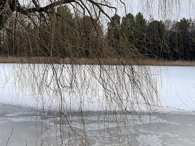 будинок за адресою центральна