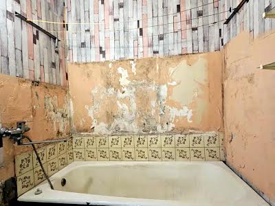 квартира по адресу Янтарная ул., 77