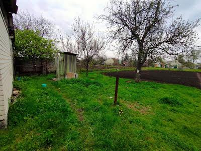 дом по адресу с. Ирклиев, Шевченка