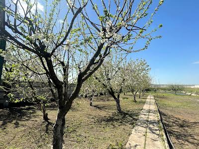 будинок за адресою Підгородне