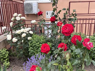 квартира за адресою Райдужний масив вул., 22