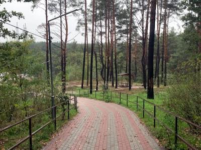квартира по адресу Кургузова, 1а 