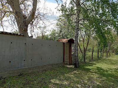 ділянка за адресою с. Миколаївка, 