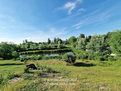 будинок за адресою с. Криве, Паркова, 8