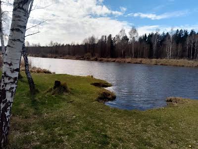 дом по адресу Дмитрівська, 3