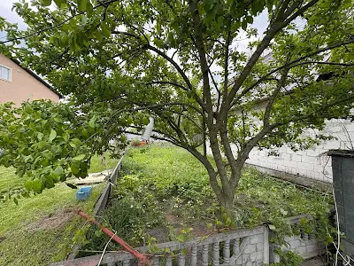 дом по адресу Федора Кричевського, 20
