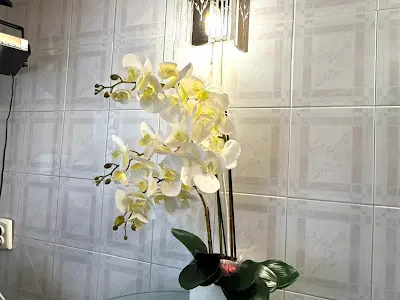 квартира за адресою Британська вул. (Горького), 28