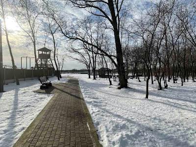 дом по адресу береговая, 106