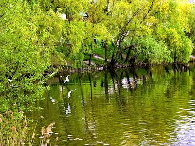 квартира по адресу Елизаветы Чавдар ул., 13