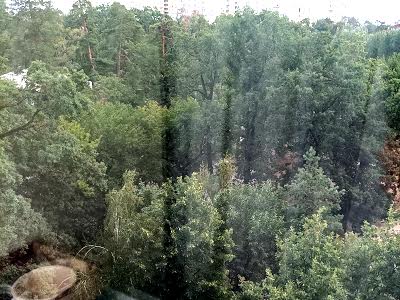 квартира по адресу Верховинная ул., 34
