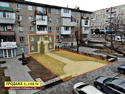 комерційна за адресою Соборний просп. (Леніна), 95
