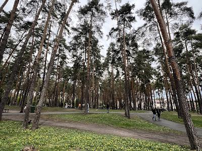 квартира по адресу Университетская ул., 3/7
