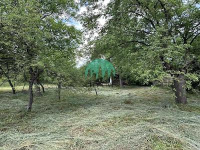 будинок за адресою Яблунева