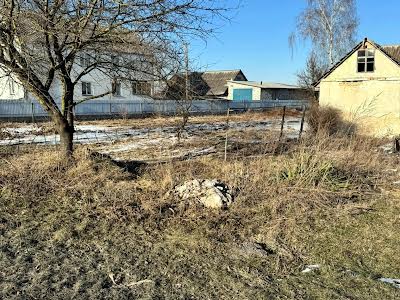дом по адресу с. Млыновцы, Шевченка, 7