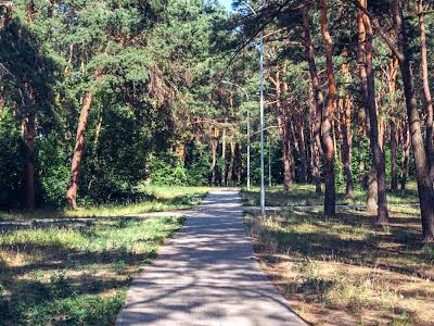 квартира за адресою Вірменська вул., 6