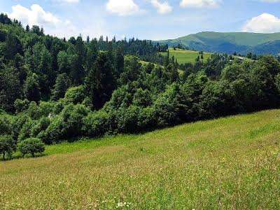 участок по адресу с. Изки, 