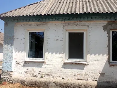 будинок за адресою Грінченка вул., 310